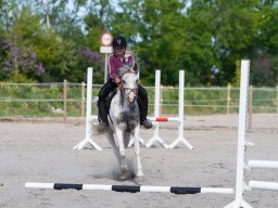 IMG_0476_web